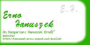 erno hanuszek business card